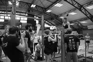 米兰体育app官网-“2025世界游泳锦标赛：水上芭蕾精彩纷呈，艺术之美与竞技并行”